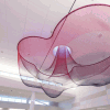 02_SFO_Echelman_PhotoYanYanMao_0502_GJH