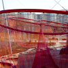 05_ROO_Echelman_PhotoPeterVanderwarker_0413_YYM