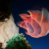07_DEN_Echelman_PhotoJanetEchelman_8121_YYM