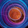13_PHX_Echelman_PhotoWillNovak_0278_GJH