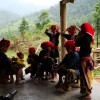 dsc010581