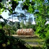 bruit-du-frigo-le-tronc-creux-designboom00