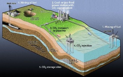 carbon sequestration qzbaq