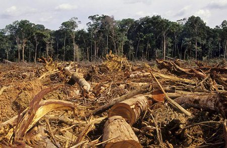 Deforestation Amazon