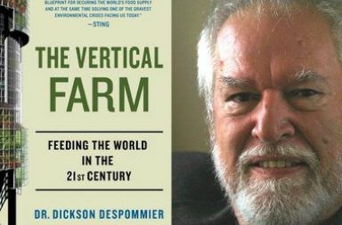 The Vertical Farm 001