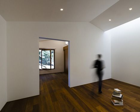 dezeen House in a Pine Wood by Sundaymorning and Massimo Fiorido Associati 12
