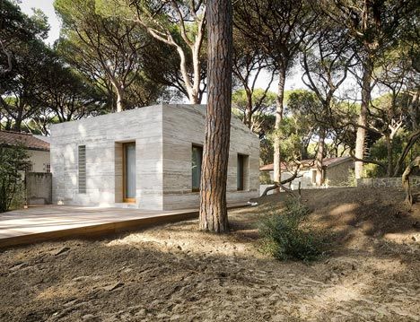 dezeen House in a Pine Wood by Sundaymorning and Massimo Fiorido Associati 4