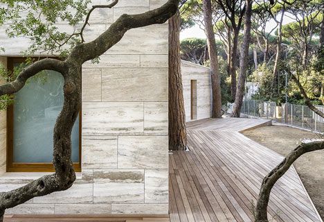 dezeen House in a Pine Wood by Sundaymorning and Massimo Fiorido Associati 7