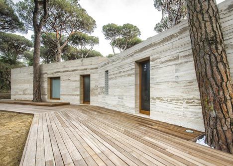 dezeen House in a Pine Wood by Sundaymorning and Massimo Fiorido Associati 8