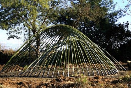 Bamboo shelter frame 002