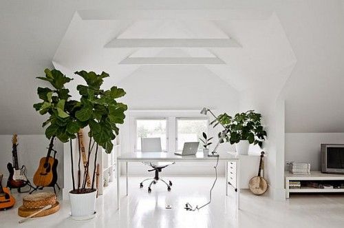 white-painted-home-office-with-green-plants