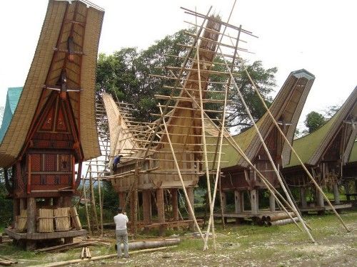 Tongkonan có vật liệu chính là gỗ, tre, nứa, ghép vào nhau mà không cần đóng đinh. Phần thân nhà được dựng trên các cột gỗ giống như nhà sàn của dân tộc thiểu số Việt Nam.