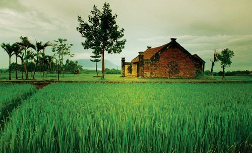 Chùa Ón, Mông Phú, Đường Lâm tạo thành điểm nhấn giữa cánh đồng