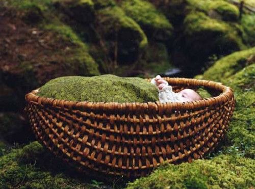 Giỏ-nôi lót chăn rêu do Ulrika Krynitz thiết kế.