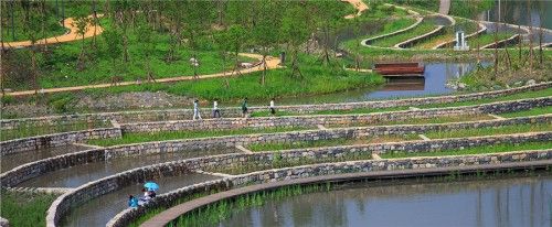 Minghu-Wetland-Park-by-Turenscape-03