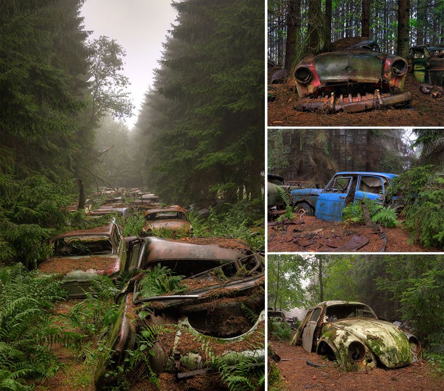 nature-reclaiming-abandoned-places-10