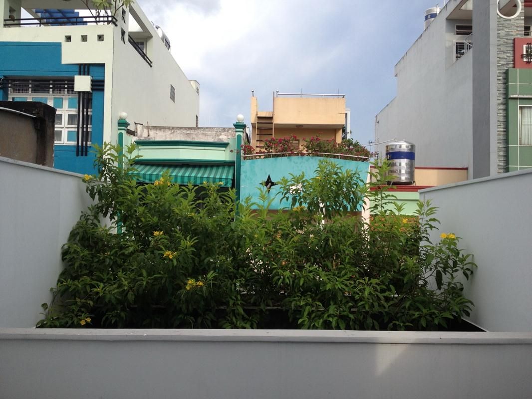 Vườn trên tầng 1 nhìn từ phòng ngủ, cải tạo trên nền mái tole hiện hữu  - Ảnh (c) Nguyễn Bá Đức