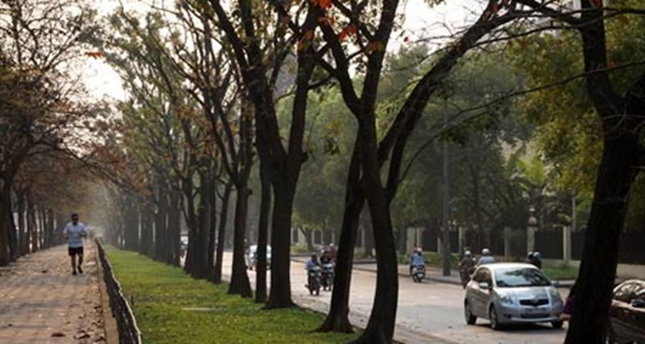 Cây xanh trên phố Kim Mã - Ảnh: Lê Anh Dũng