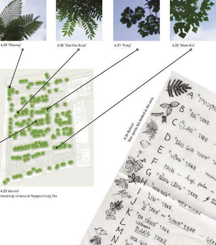 Bản vẽ định vị từng cây xanh trong khu Nguyễn Công Trứ, những ngôi nhà xây quanh gốc cây và một cây lim xanh được gọi là cổ thụ - rất có thể trồng vào năm 1960, thời điểm xây dựng KTT này