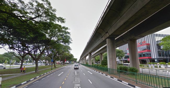 Cây xanh vẫn được trồng trên một tuyến đường tương tự tại Singapore