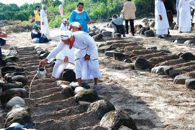 Lễ tảo mộ của đồng bào Chăm Hồi giáo (Bà Ni) -  Tết Ramưwan