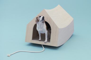 dezeen Architecture for Dogs ss 11