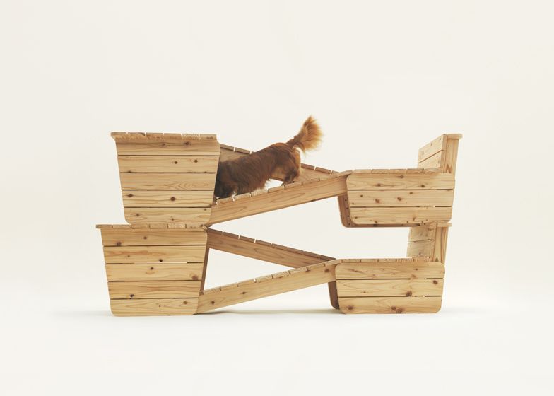 Atelier Bow-Wow đã thiết kế một đoạn đường dốc cho một chú chó giống Daschund