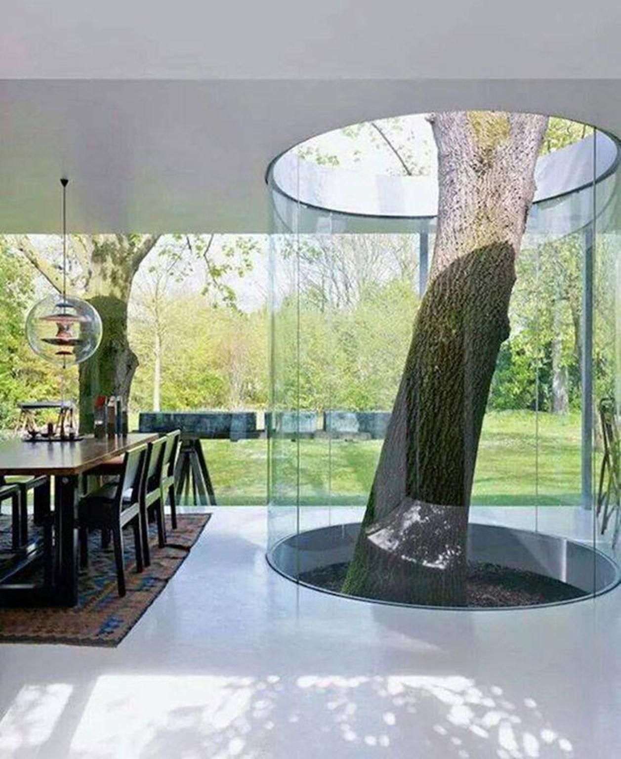Một cái cây giữa nhà, tạo điểm nhấn cho không gian (Ảnh: Internet)