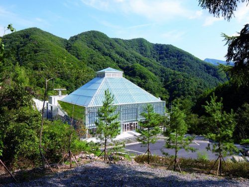also-surrounded-by-green-is-the-light-of-life-church-in-seoul-south-korea