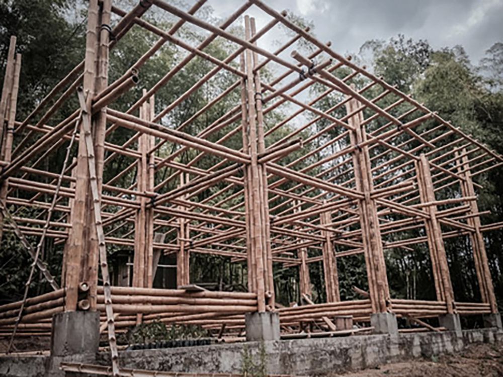Nhà giá rẻ xây dựng từ gỗ và tre của Enrique Mora Alvarado 5