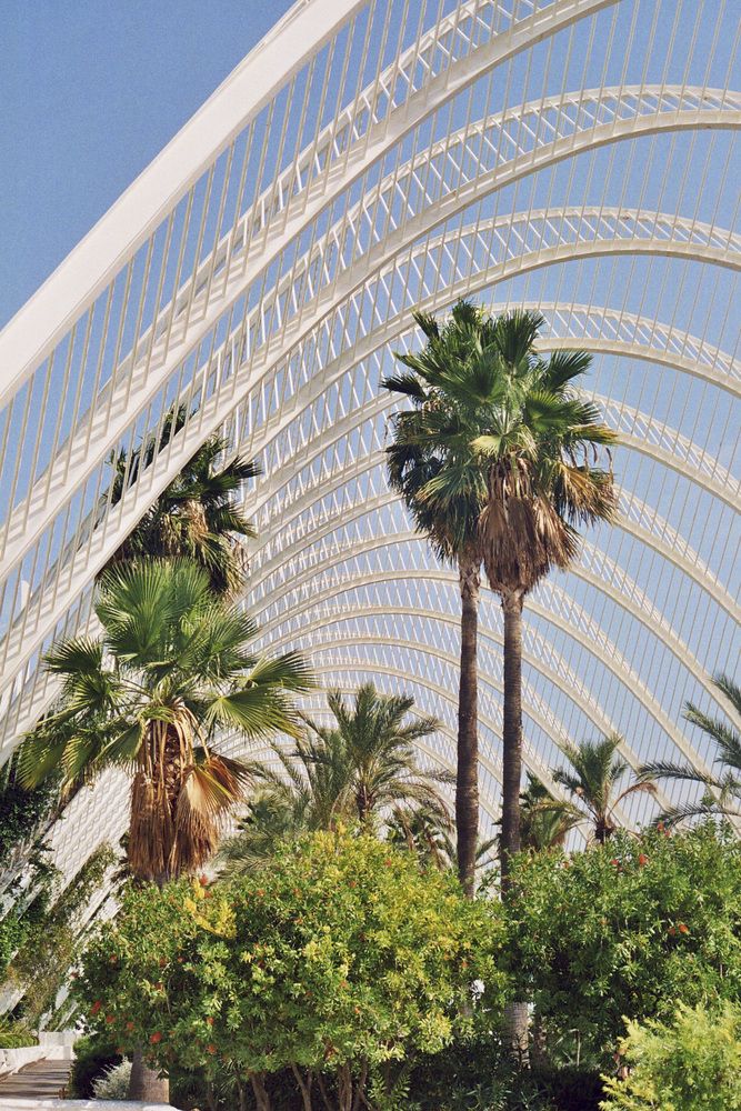 Thành phố nghệ thuật và khoa học Santiago Calatrava 5
