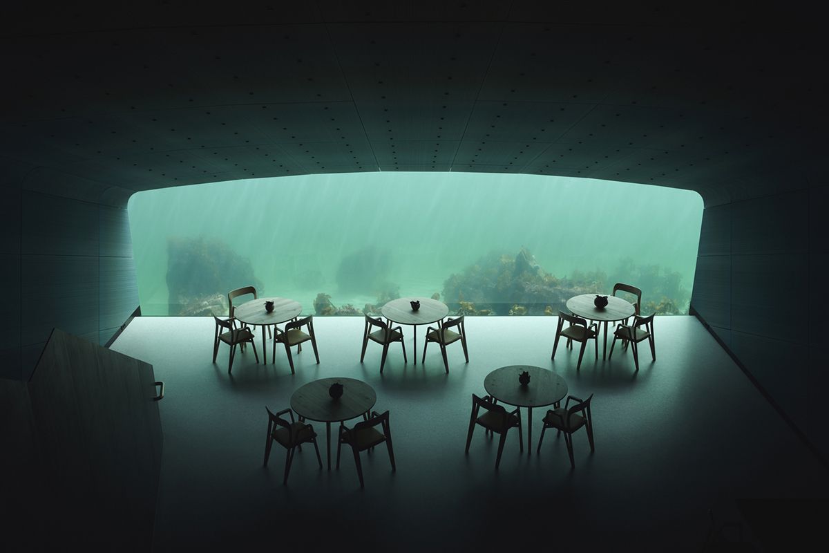 “Under” Nhà hàng dưới biển đầu tiên của châu Âu 3