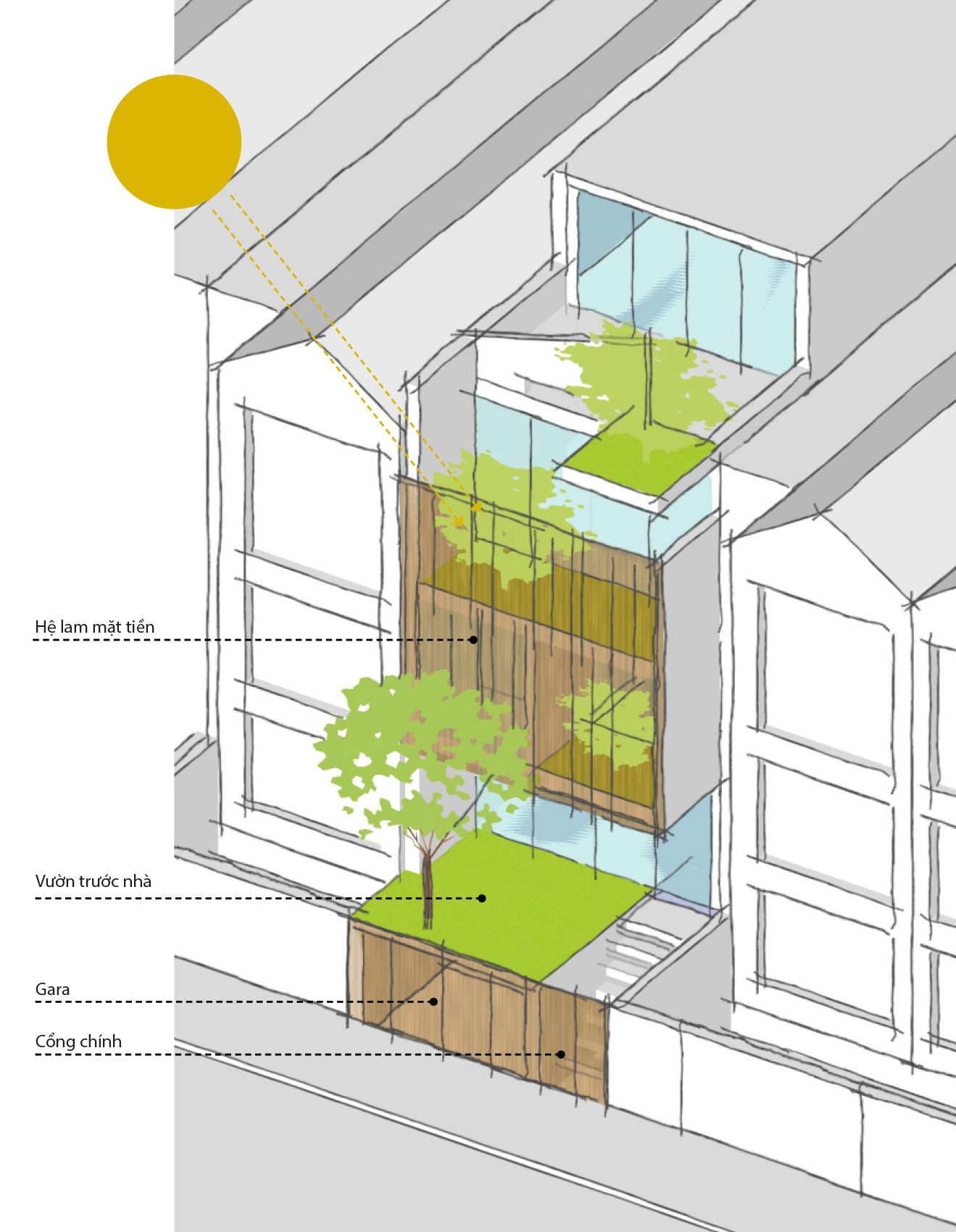 LH House - Ngôi nhà của những không gian mở rộng | APDI Architecture