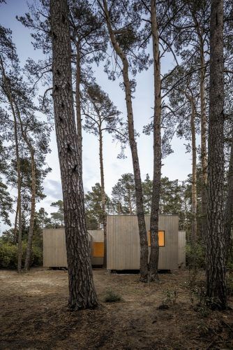 Koeris House - Những chiếc hộp bí ẩn giữa rừng thông | Zeller & Moye
