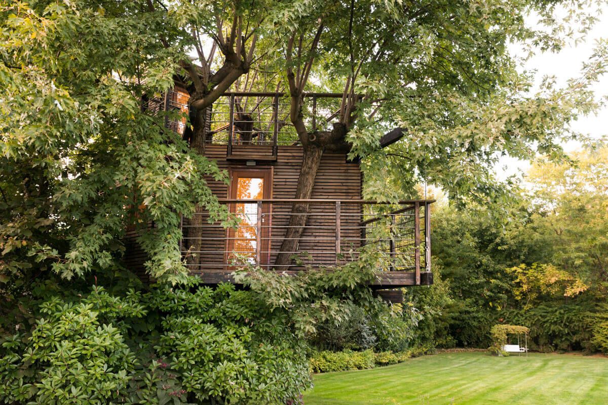 Các tiêu chí để xây dựng "nhà trên cây" - Tree House