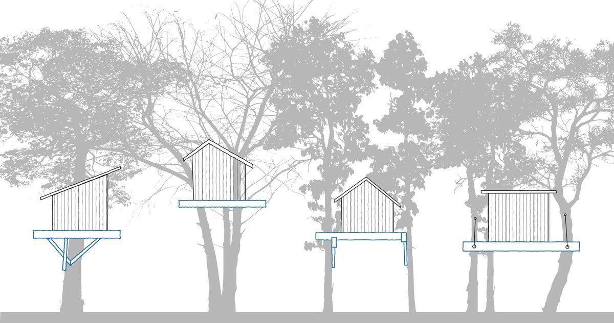 Các tiêu chí để xây dựng "nhà trên cây" - Tree House