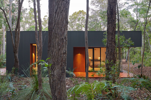 Hidden House - Ngôi nhà độc đáo ẩn mình trong khu rừng rậm | Archterra Architects