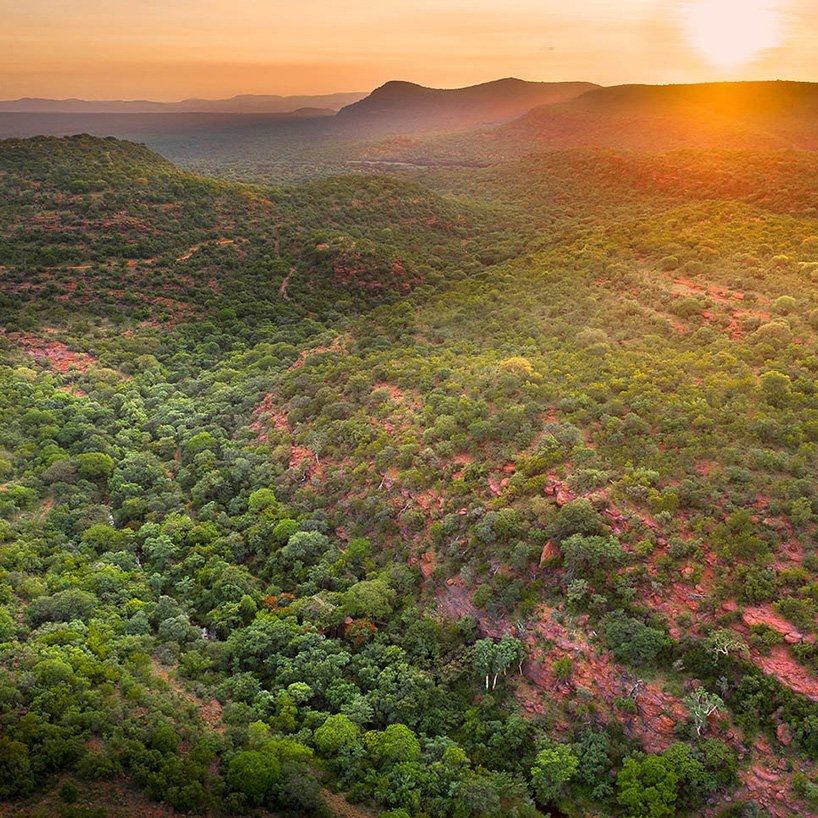 frankie-pappas-house-of-the-big-arch-waterberg-south-africa-designboom-11-1000x1000.jpg