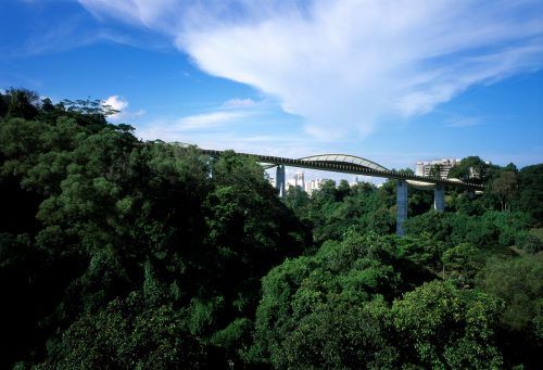 Cây cầu uốn lượn độc đáo ở Đảo quốc Sư tử - Henderson Waves (Singapore)