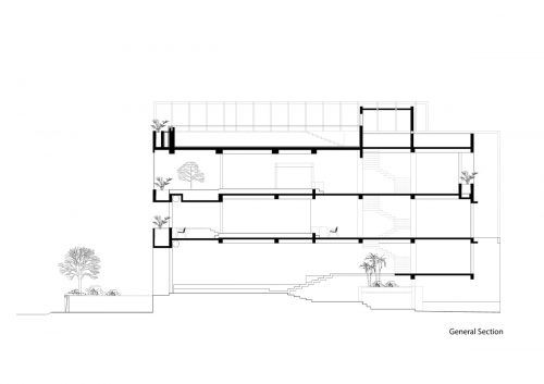 Tropical Suburb Town House – Nhà phố ngoại ô với kiến trúc từ bê tông nguyên khối | MM++ Architects