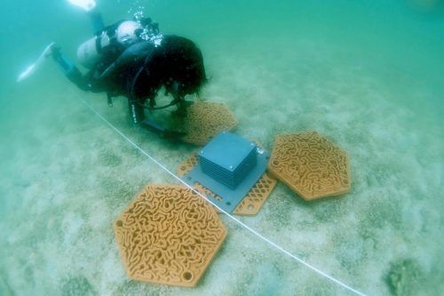 Sử dụng công nghệ in 3D để phục hồi rạn san hô chết tại Hồng Kông