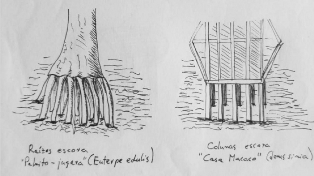 Monkey_House_roots_-_concept_drawing-1000x1000.jpg