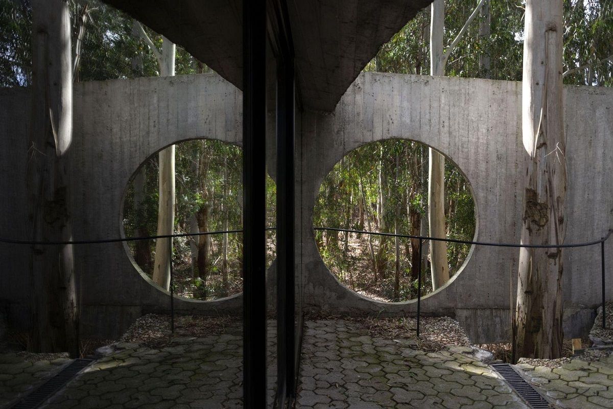 House 81- Mảng bê tông cong giữa rừng | TAM - Guillermo Elgart