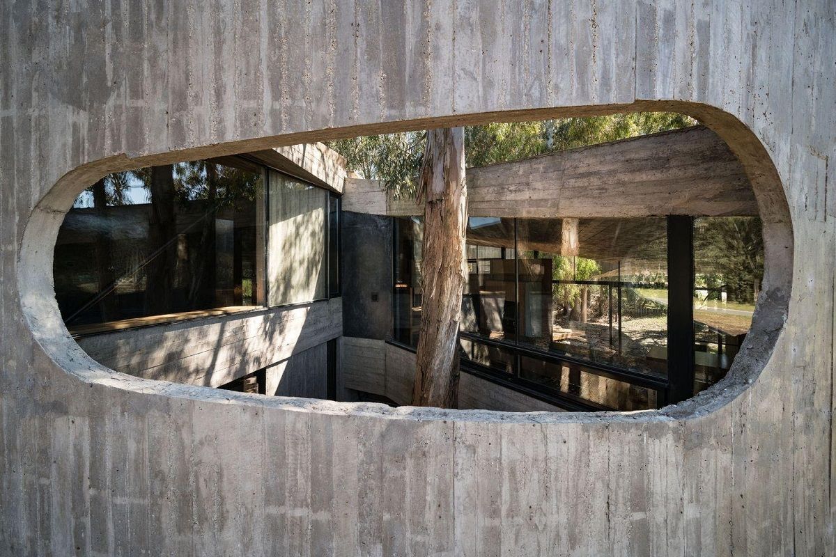 House 81- Mảng bê tông cong giữa rừng | TAM - Guillermo Elgart