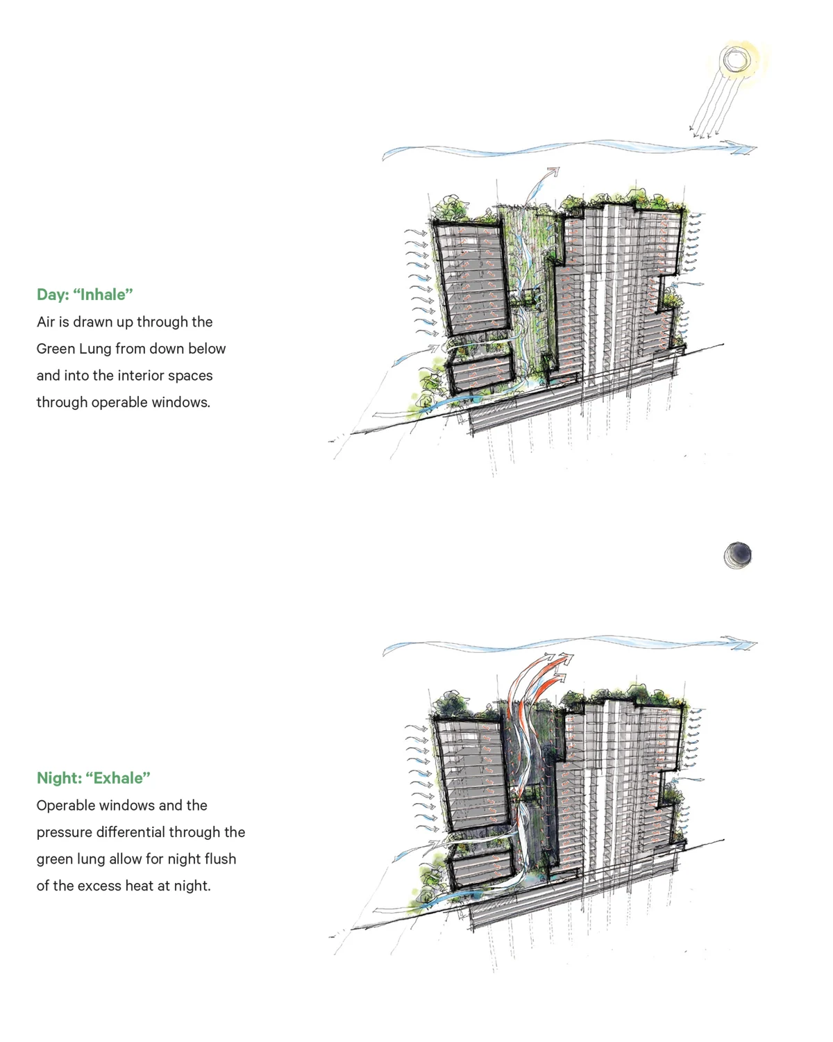 “Park Habitat”- Văn phòng xanh trong khuôn viên Westbank | Kengo Kuma