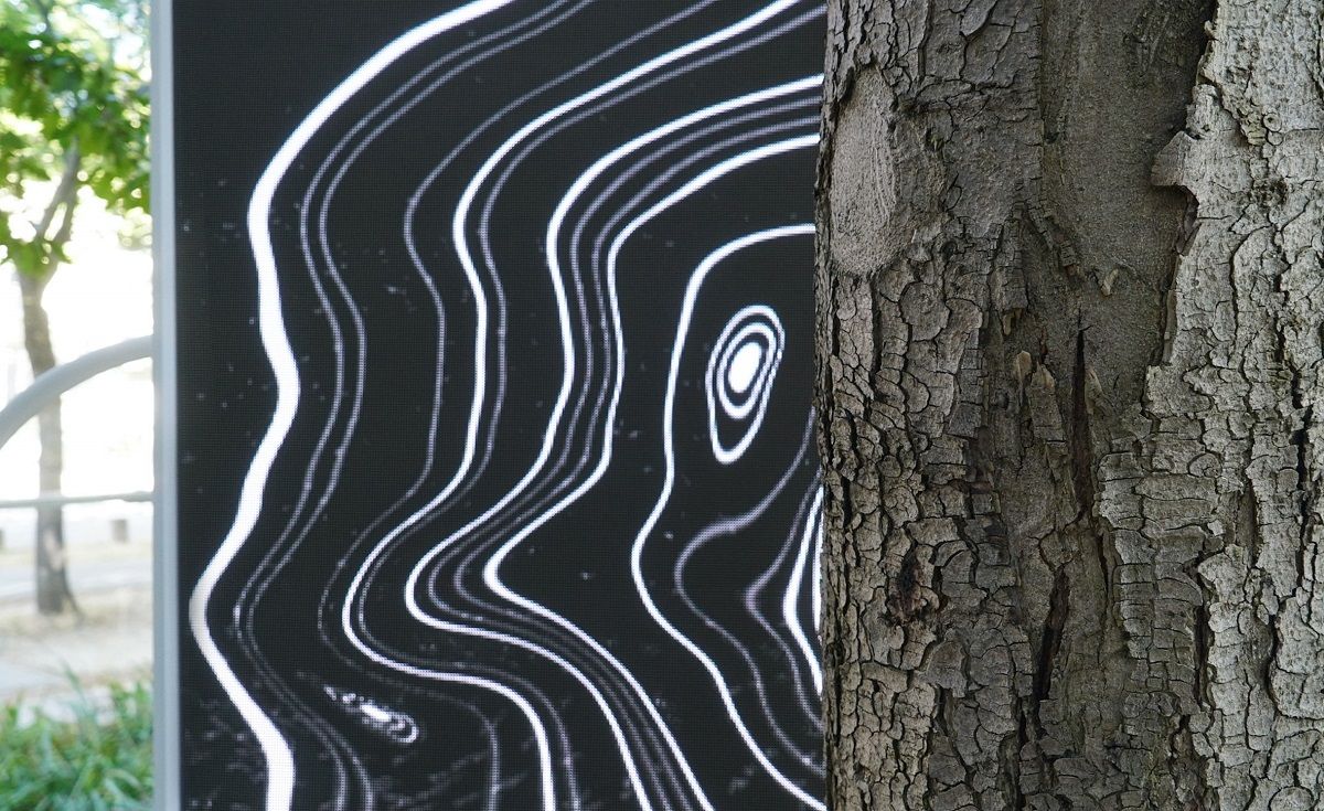Symbiosia - Tác phẩm nghệ thuật kỹ thuật số mô tả tác động của biến đổi khí hậu đối với cây cối ở Paris
