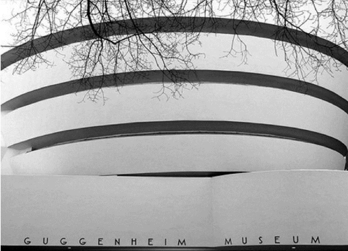Kiến trúc kinh điển: Bảo tàng Solomon R. Guggenheim | Frank Lloyd Wright