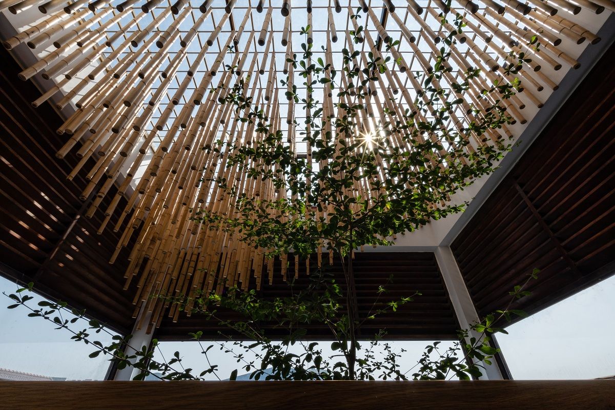 Nhà Tổ Chim - Những khoảng trống và mảng xanh trong nhà phố hẹp | atelier NgNg