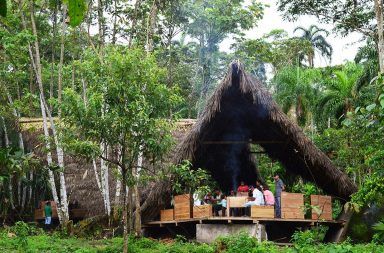 Sử dụng kỹ thuật xây dựng địa phương cho công trình đương đại - Ví dụ ở Amazon