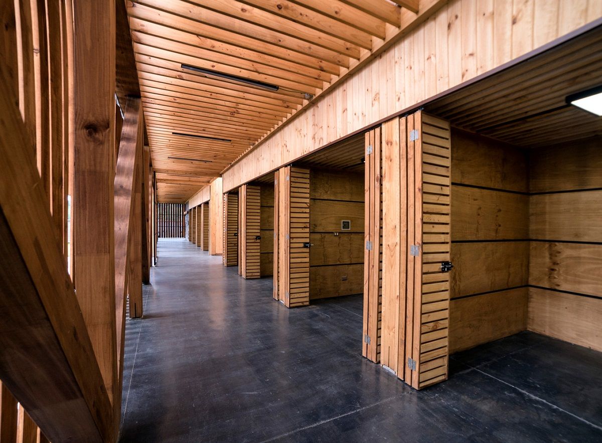 Công nghệ kỹ thuật số giúp gỗ trở thành vật liệu thay thế được thép và bê tông